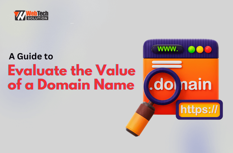 Evaluate the Value of a Domain Name