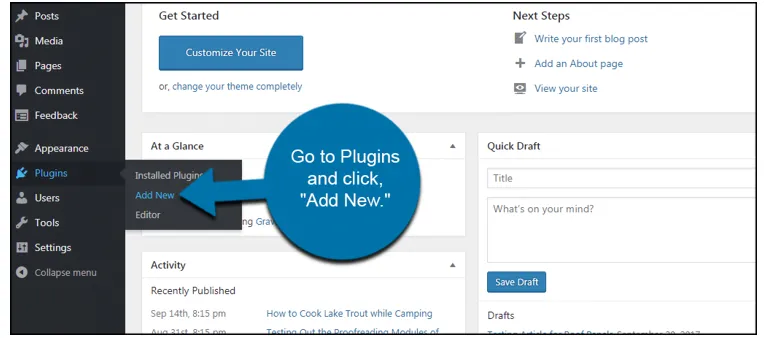 Go to Plugins and click Add New