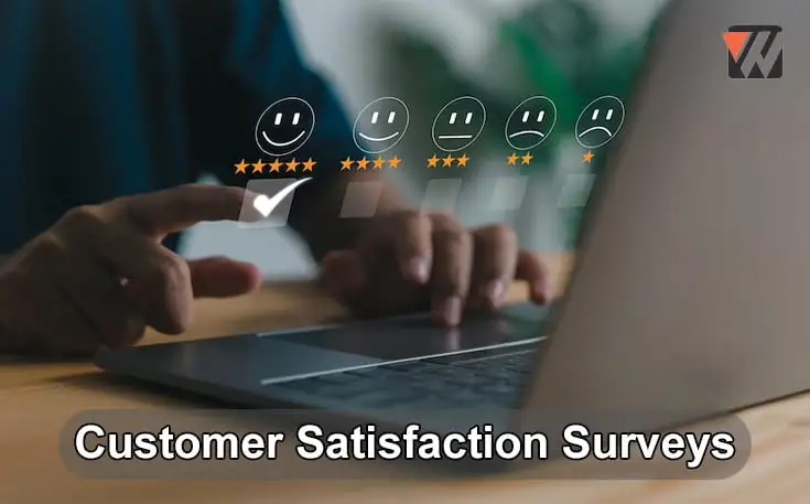 Customer Satisfaction Surveys